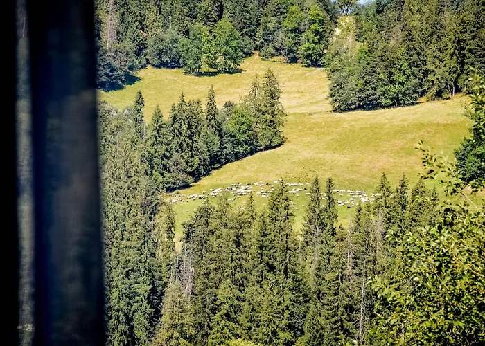 Rysiowka